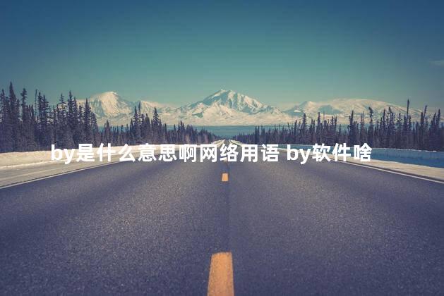 by是什么意思啊网络用语 by软件啥意思
